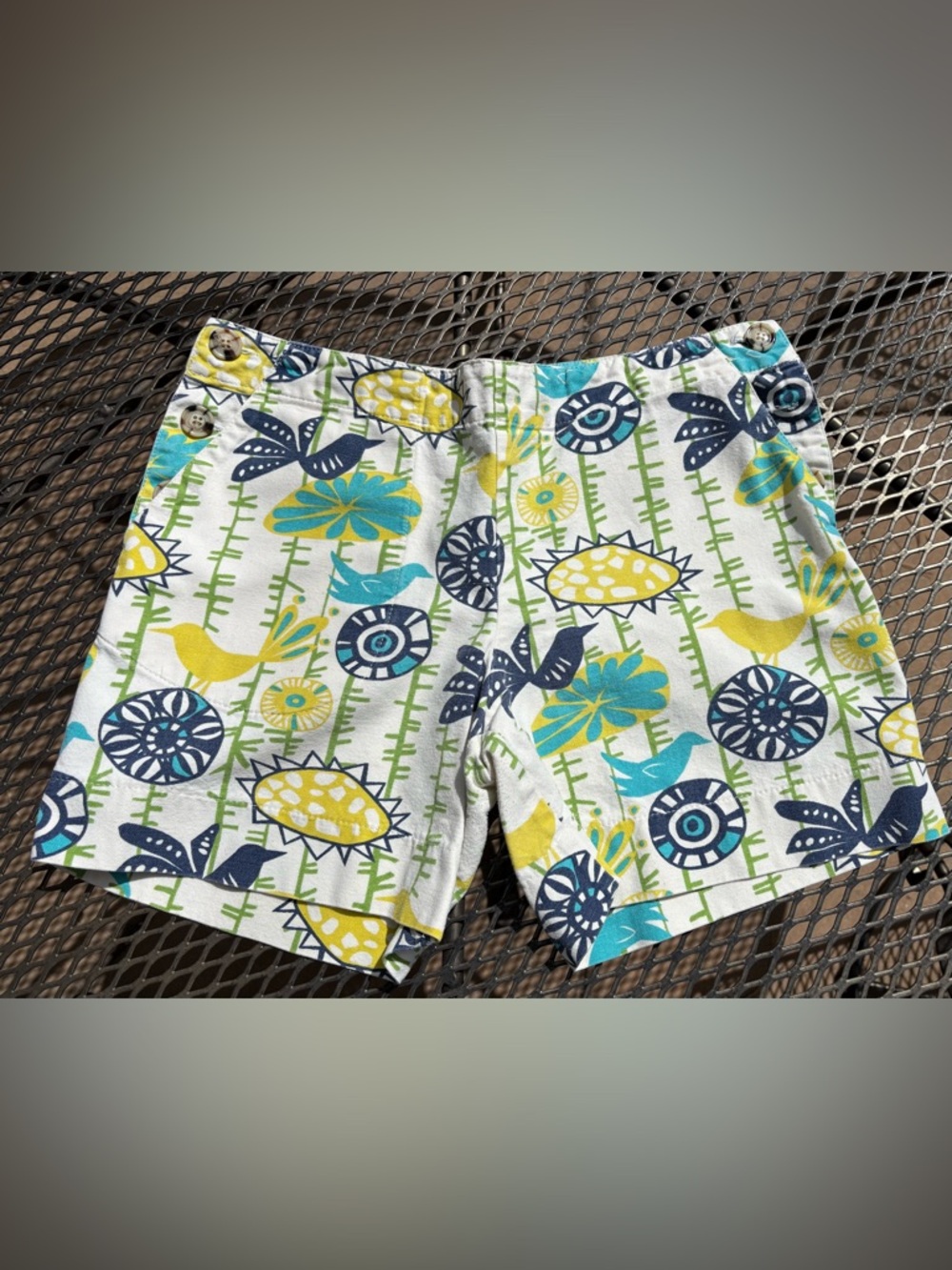 ANTHROPOLOGIE UTILITY CANVAS Shorts